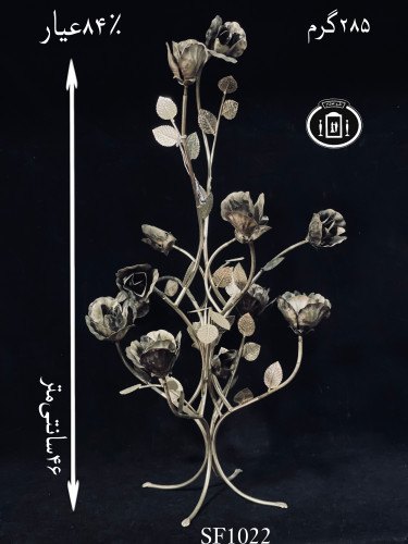 خرید درختچه گل نقره بزرگ۸۴٪استاندارد ایران