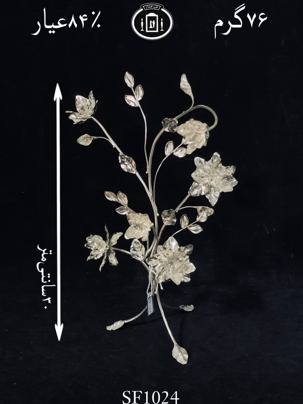 خرید درختچه گل نقره متوسط۸۴٪استاندارد ایران