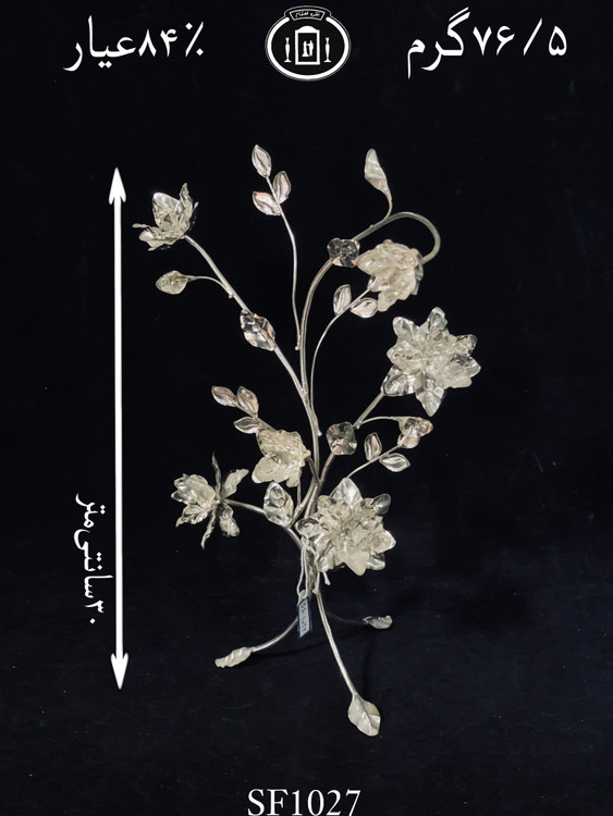 خرید درختچه گل نقره متوسط۸۴٪استاندارد ایران